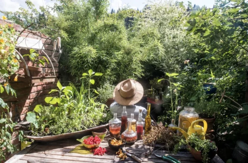 Horticultural Vinegar in the Garden, Organic Gardening